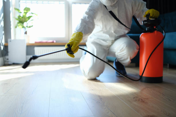 Reliable Odor Removal contractor in Smith, NV by Trauma Clean Pros